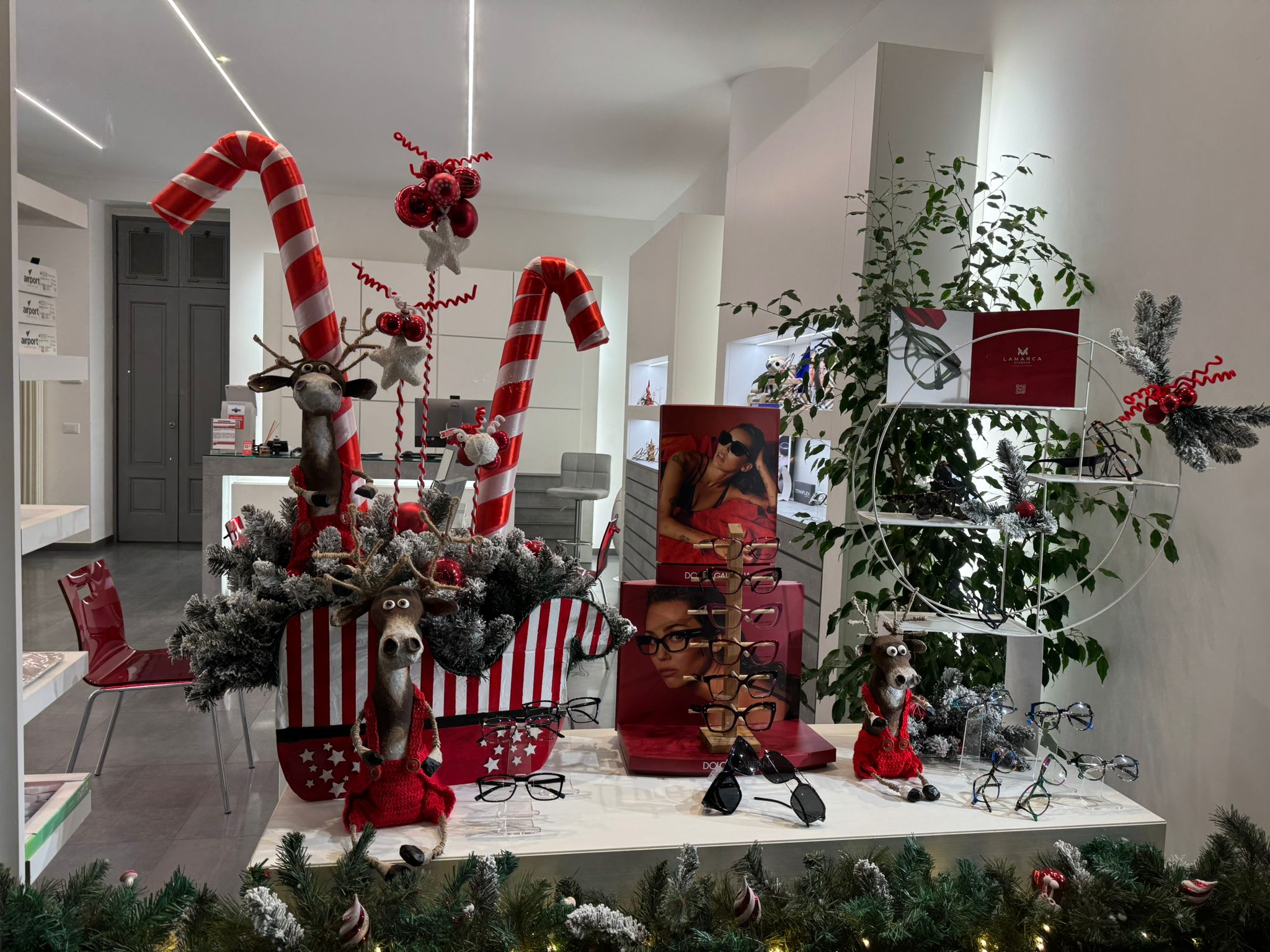 Centro Ottico Cappelli